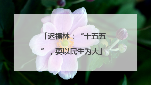 迟福林：“十五五”，要以民生为大