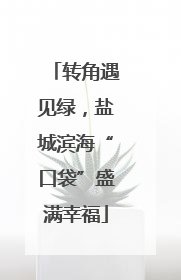 转角遇见绿，盐城滨海“口袋”盛满幸福