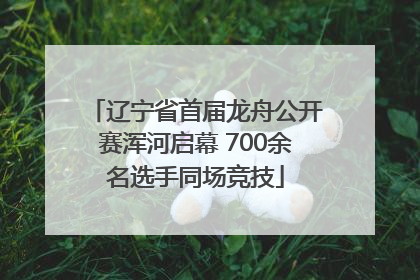 辽宁省首届龙舟公开赛浑河启幕 700余名选手同场竞技