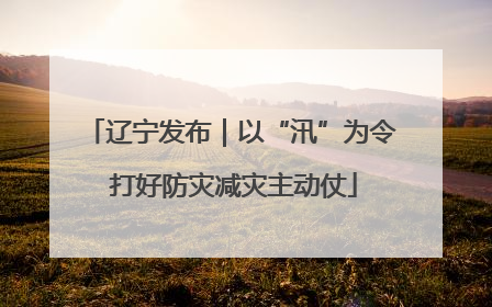 辽宁发布｜以“汛”为令 打好防灾减灾主动仗