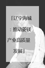 辽宁海城：推动菱镁产业高质量发展