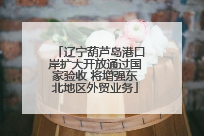 辽宁葫芦岛港口岸扩大开放通过国家验收 将增强东北地区外贸业务