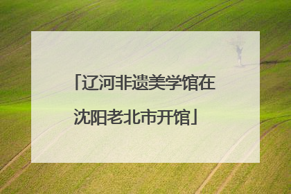 辽河非遗美学馆在沈阳老北市开馆