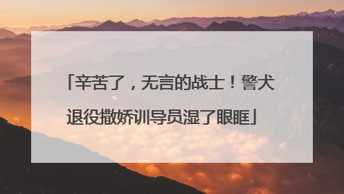 辛苦了，无言的战士！警犬退役撒娇训导员湿了眼眶