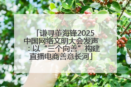 谦寻董海锋2025中国网络文明大会发声：以“三个向善”构建直播电商善意长河