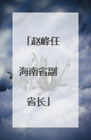 赵峰任海南省副省长