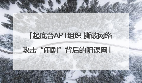 起底台APT组织 撕破网络攻击“闹剧”背后的阴谋网
