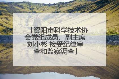 资阳市科学技术协会党组成员、副主席刘小彬 接受纪律审查和监察调查