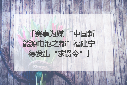 赛事为媒 “中国新能源电池之都”福建宁德发出“求贤令”