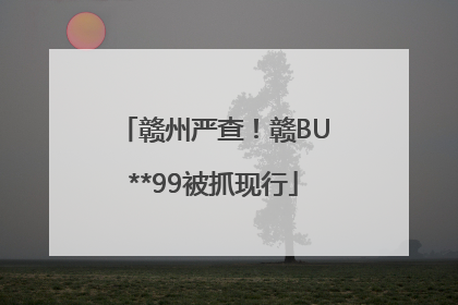 赣州严查！赣BU**99被抓现行