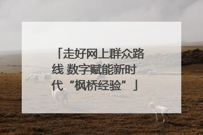 走好网上群众路线 数字赋能新时代“枫桥经验”