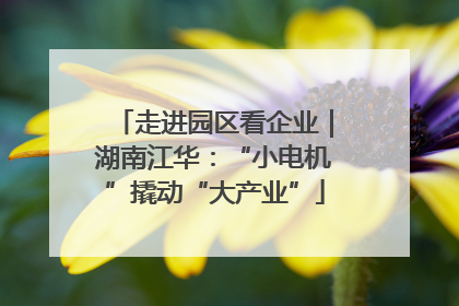 走进园区看企业｜湖南江华：“小电机”撬动“大产业”
