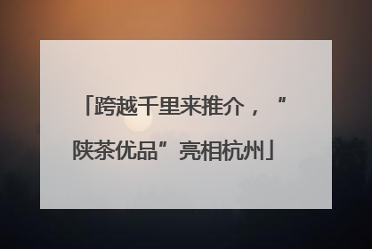 跨越千里来推介，“陕茶优品”亮相杭州