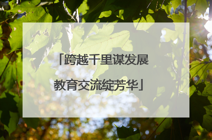 跨越千里谋发展 教育交流绽芳华