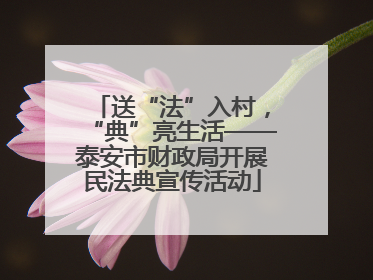 送“法”入村，“典”亮生活——泰安市财政局开展民法典宣传活动