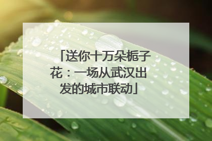 送你十万朵栀子花：一场从武汉出发的城市联动