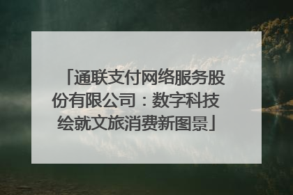 通联支付网络服务股份有限公司：数字科技绘就文旅消费新图景