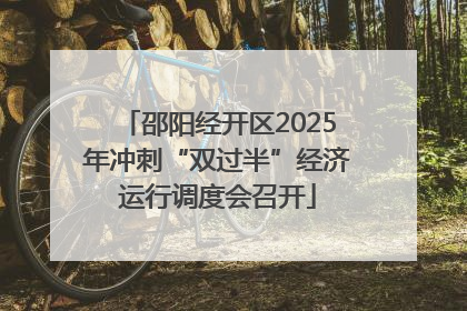 邵阳经开区2025年冲刺“双过半”经济运行调度会召开