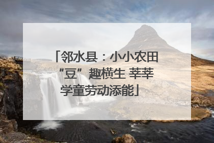 邻水县：小小农田“豆”趣横生 莘莘学童劳动添能