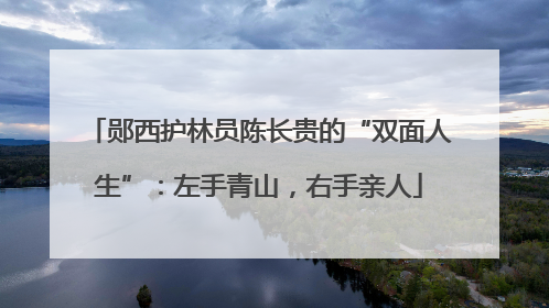 郧西护林员陈长贵的“双面人生”：左手青山，右手亲人