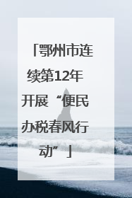 鄂州市连续第12年开展“便民办税春风行动”