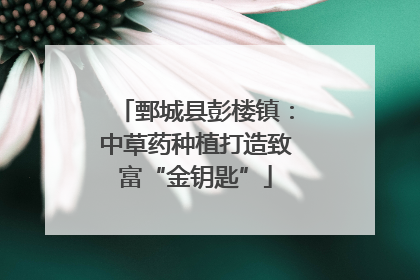 鄄城县彭楼镇：中草药种植打造致富“金钥匙”