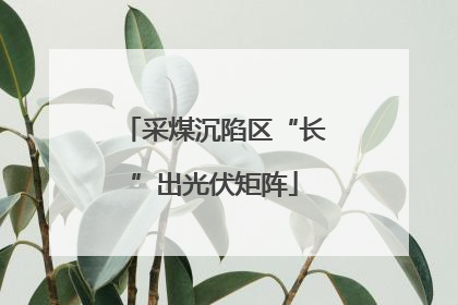 采煤沉陷区“长”出光伏矩阵