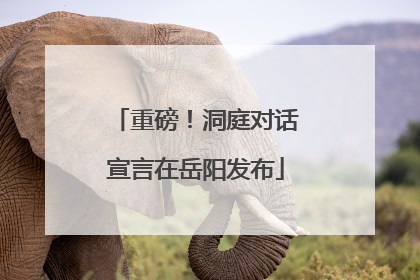重磅！洞庭对话宣言在岳阳发布