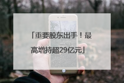 重要股东出手！最高增持超29亿元
