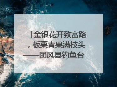 金银花开致富路，板栗青果满枝头——团风县钓鱼台村“山水生金”谱写共富新篇章