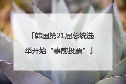韩国第21届总统选举开始“事前投票”