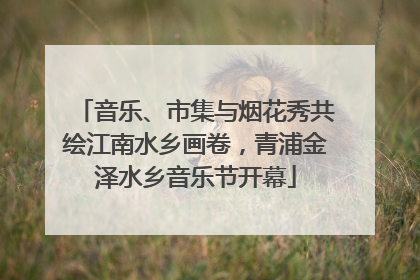 音乐、市集与烟花秀共绘江南水乡画卷，青浦金泽水乡音乐节开幕