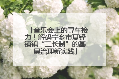 音乐会上的寻车接力！解码宁乡市夏铎铺镇“三长制”的基层治理新实践