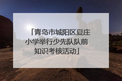 青岛市城阳区夏庄小学举行少先队队前知识考核活动