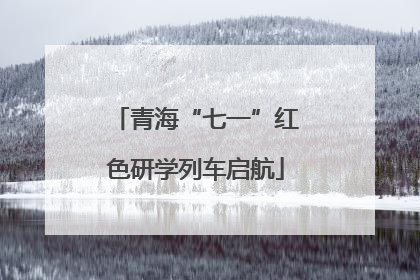 青海“七一”红色研学列车启航