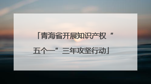 青海省开展知识产权“五个一”三年攻坚行动