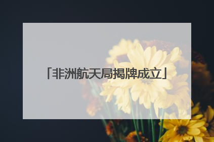 非洲航天局揭牌成立