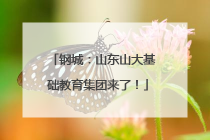 钢城：山东山大基础教育集团来了！