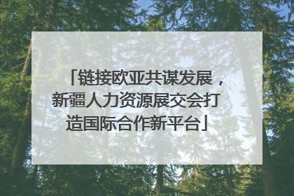 链接欧亚共谋发展，新疆人力资源展交会打造国际合作新平台