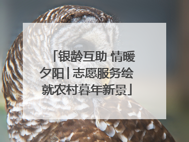 银龄互助 情暖夕阳│志愿服务绘就农村暮年新景