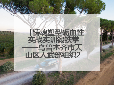 铸魂塑型砺血性 实战实训锻铁拳——乌鲁木齐市天山区人武部组织2025年度民兵集中轮训