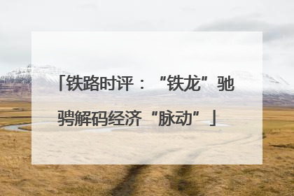 铁路时评：“铁龙”驰骋解码经济“脉动”