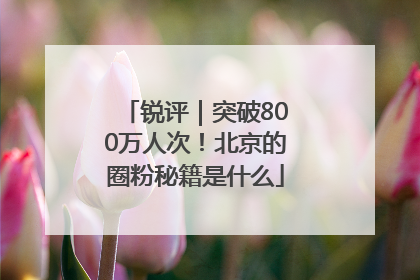 锐评｜突破800万人次！北京的圈粉秘籍是什么