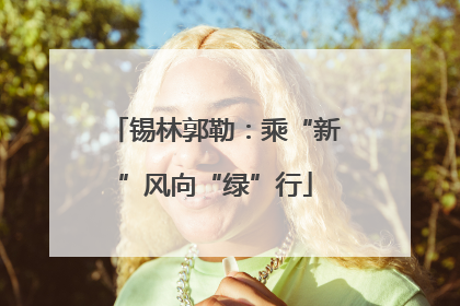 锡林郭勒：乘“新”风向“绿”行