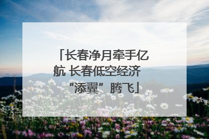 长春净月牵手亿航 长春低空经济“添翼”腾飞