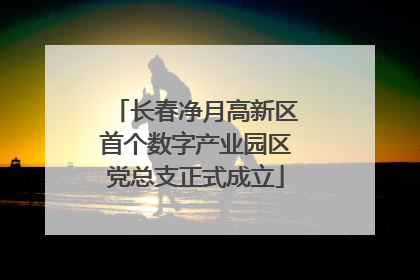 长春净月高新区首个数字产业园区党总支正式成立
