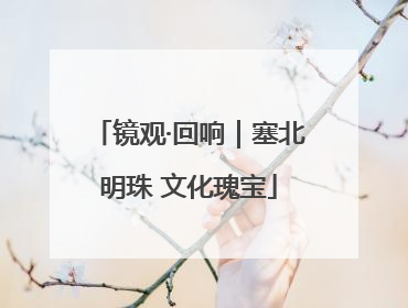 镜观·回响｜塞北明珠 文化瑰宝