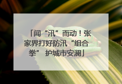 闻“汛”而动！张家界打好防汛“组合拳” 护城市安澜