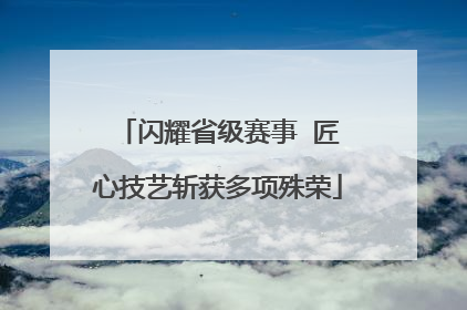 闪耀省级赛事  匠心技艺斩获多项殊荣