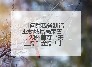 问鼎我省制造业领域最高荣誉，湖州首夺“天工鼎”金鼎！